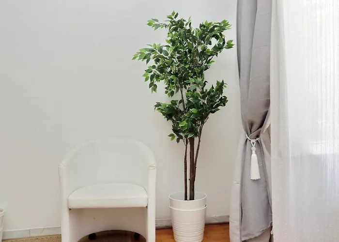 Cozy Domus -
